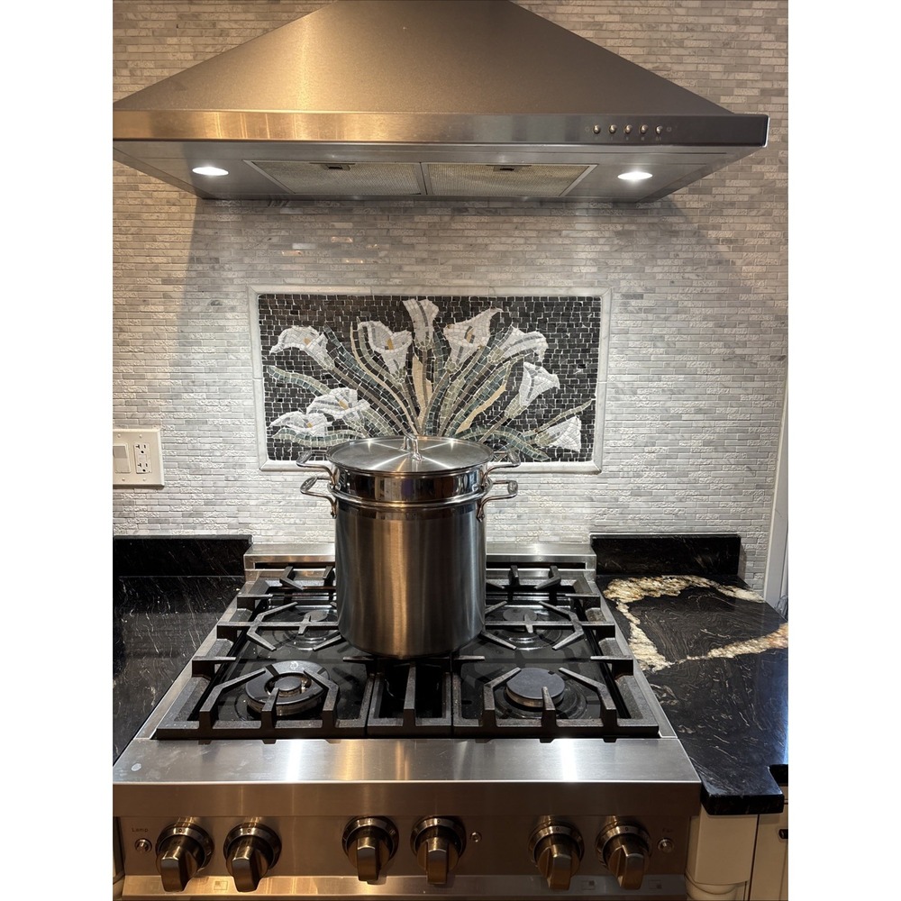 ALL CLAD 12 qt Stainless Steel Multi-Pot w/ Perforated Insert Steamer Basket Lid